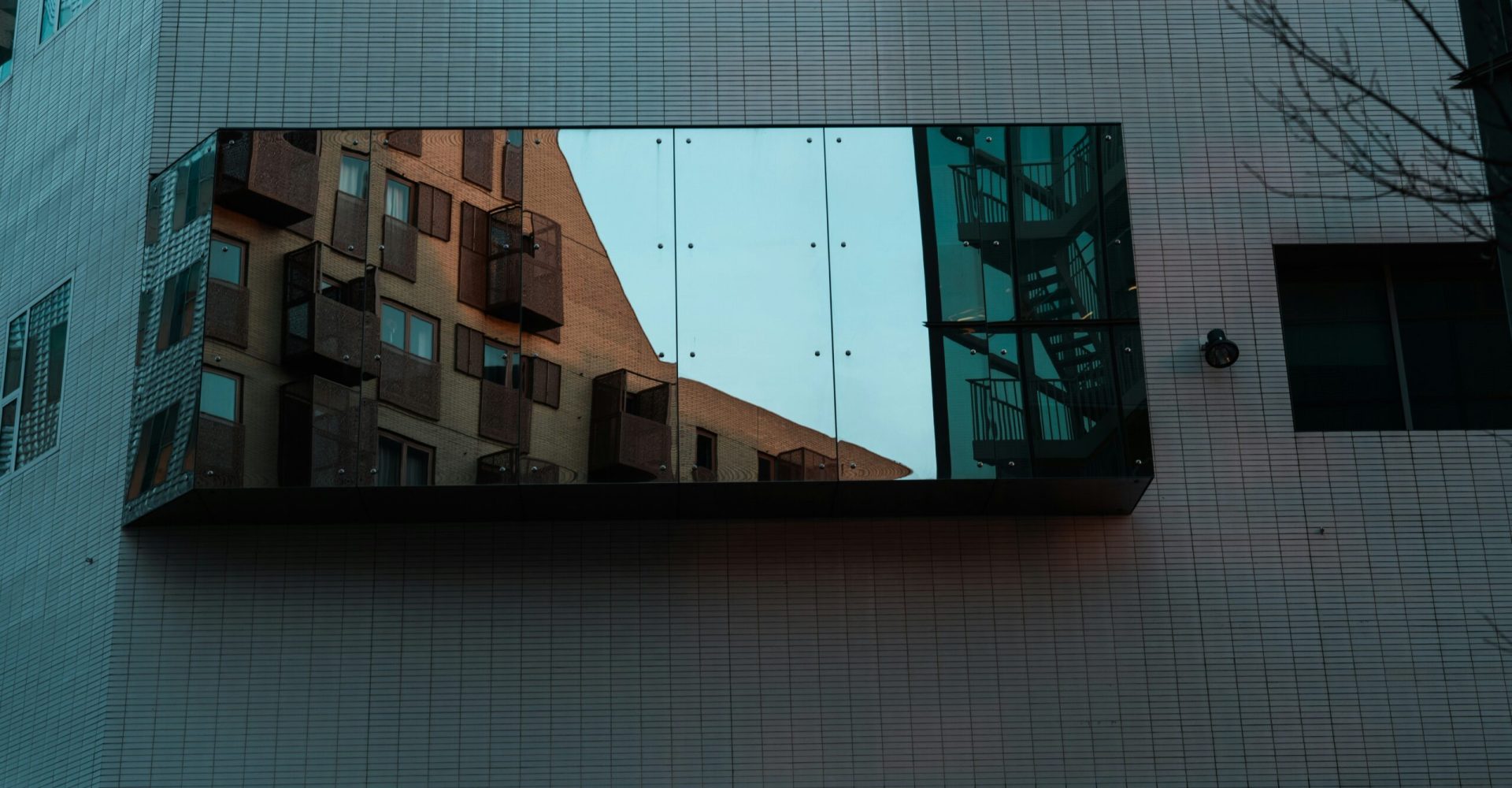 mitchel-willem-jacob-anneveldt-iZF5FTERxxM-unsplash mitchel-willem-jacob-anneveldt-iZF5FTERxxM-unsplash